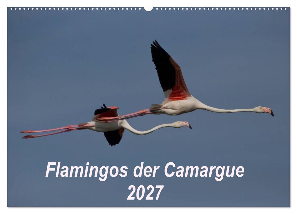 Flamingos der Camargue 2027 (Wandkalender 2027 DIN A2 quer), CALVENDO Monatskalender