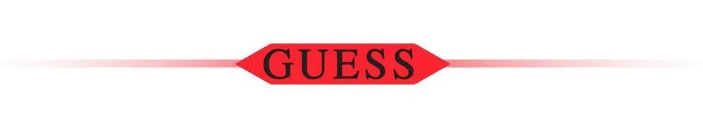 Recensione Cover Guess iPhone 13 Pro MagSafe Rosa Saffiano - 10