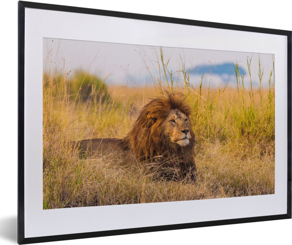 MuchoWow MuchoWow Gerahmtes Poster Männlicher Löwe im hohen Gras im Serengeti-Nationalpark 60x40 cm - Poster mit zchwarzem Bilderrahmen - Sch...