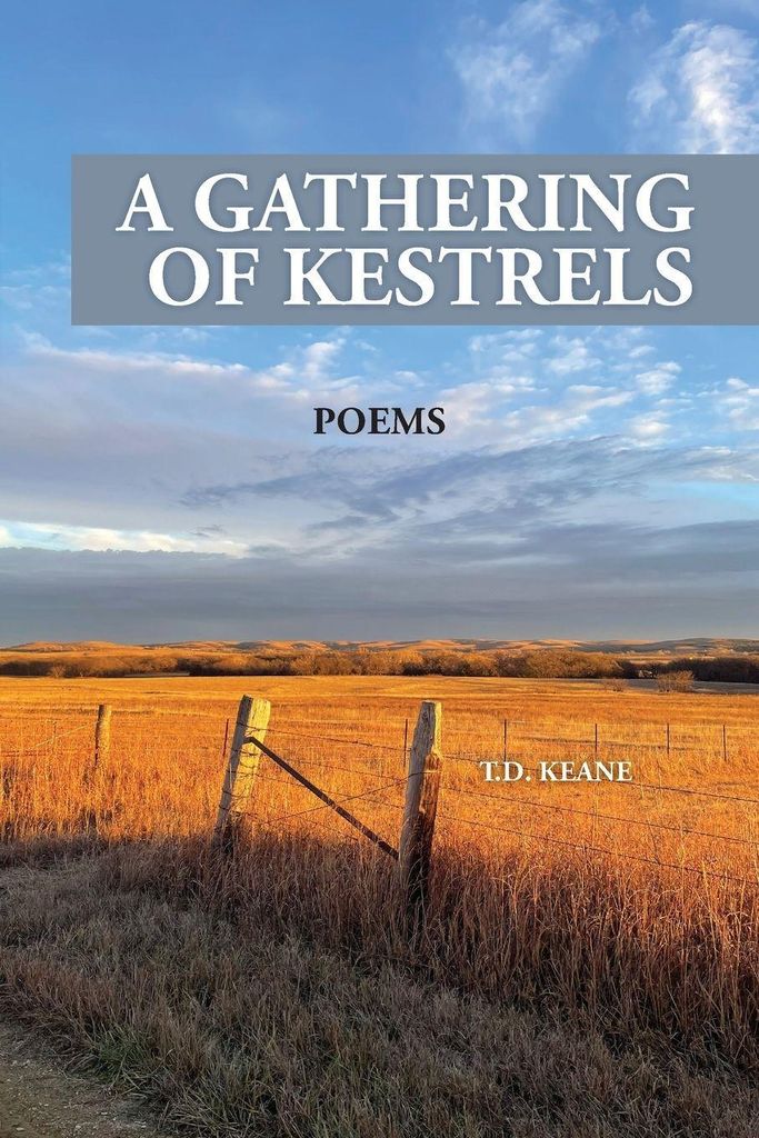 A Gathering Of Kestrels