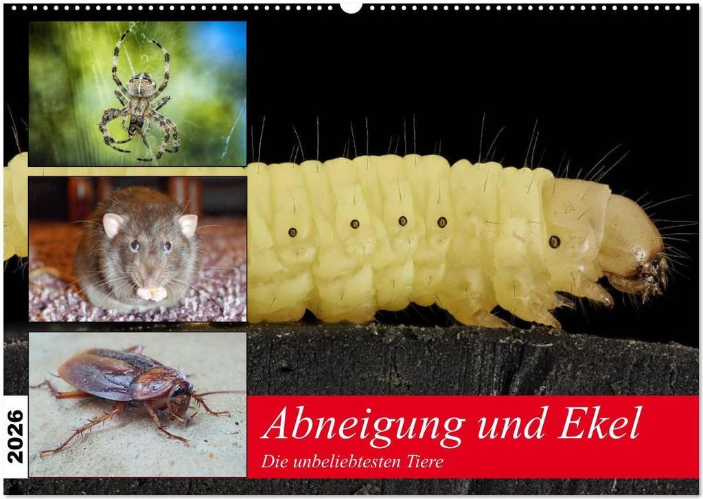 Abneigung und Ekel. Die unbeliebtesten Tiere (Wandkalender 2026 DIN A2 quer), CALVENDO Monatskalender