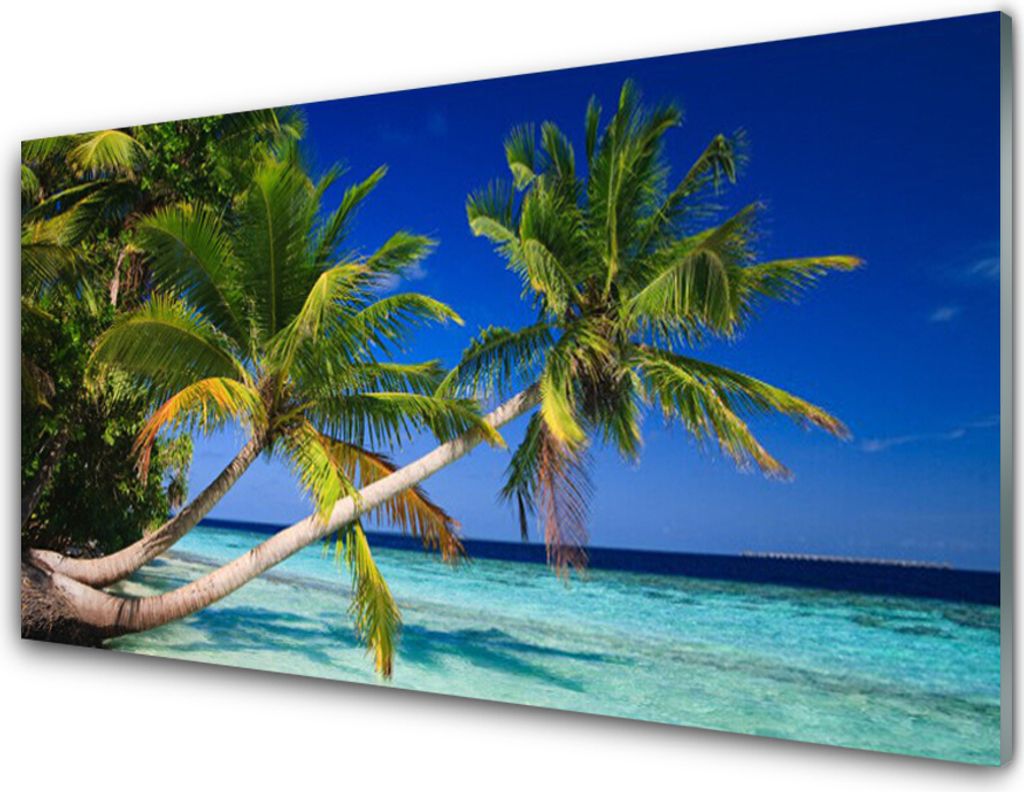 Küchenrückwand aus Glas 100x50cm Spritzschutz Palmen Meer Landschaft