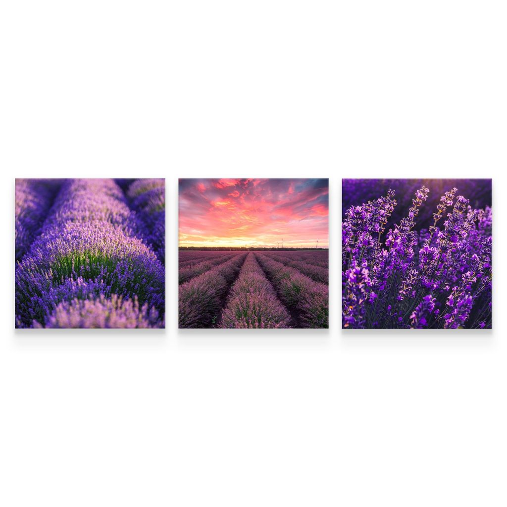 Leinwand Bilder Set 3 Bilder LAVENDEL Lavendelfeld Natur 3D Produktbild 2