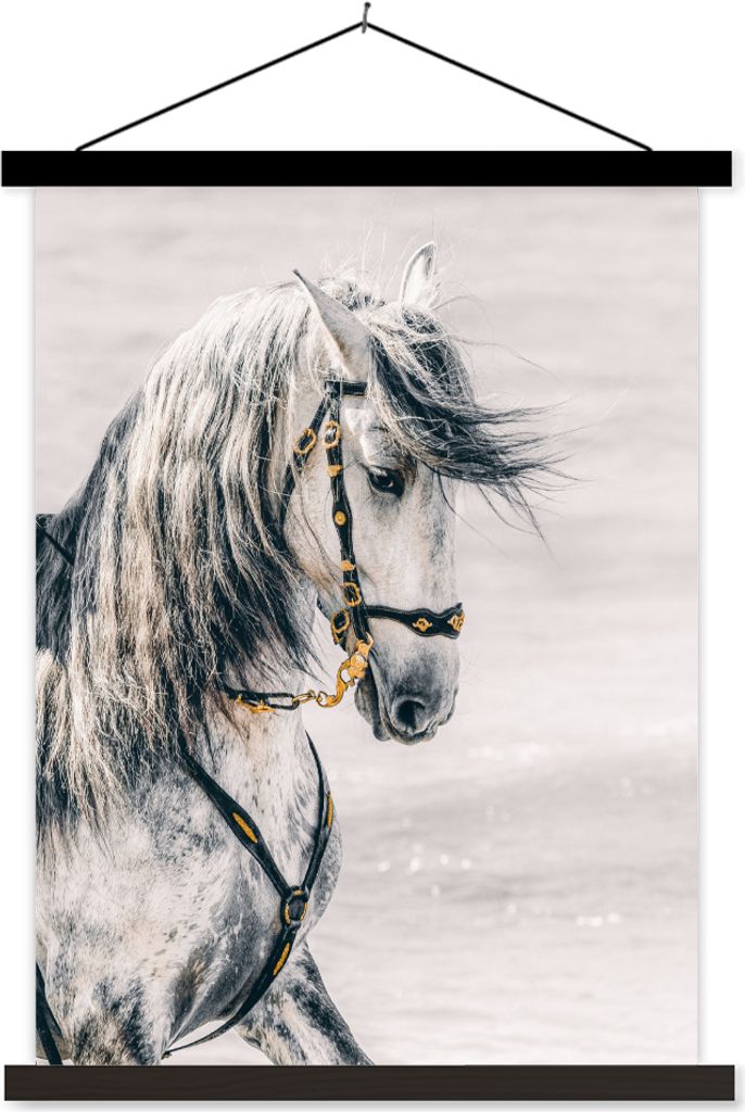 MuchoWow Textilposter Pferd - Grau - Halfter 120x160 cm mit schwarzem Rahmen - Magnetischer