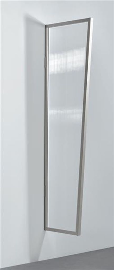 Seitenblende B1 Stegplatte Gutta zu Vordach klar Edelstahl 45x60x200cm