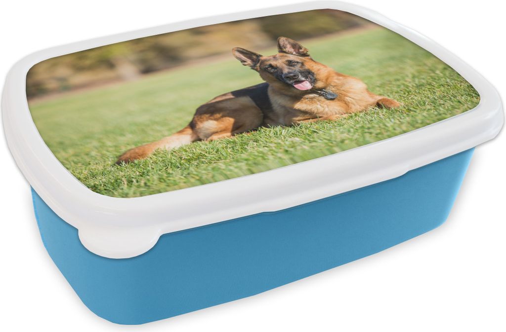 KitchenYeah Lunchbox Brotzeit Brotdose 17x11 cm Deutscher Schäferhund im Gras liegend Kinder Brotzeitdose - Lunch - Kunststoff - Brotbüchse - ...