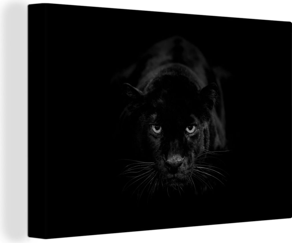 MuchoWow - Leinwandbilder - Porträt eines Leoparden auf schwarzem Hintergrund - schwarz und weiß, Wandbild, Wanddeko Bilder Wohnzimmer, 120x80 cm