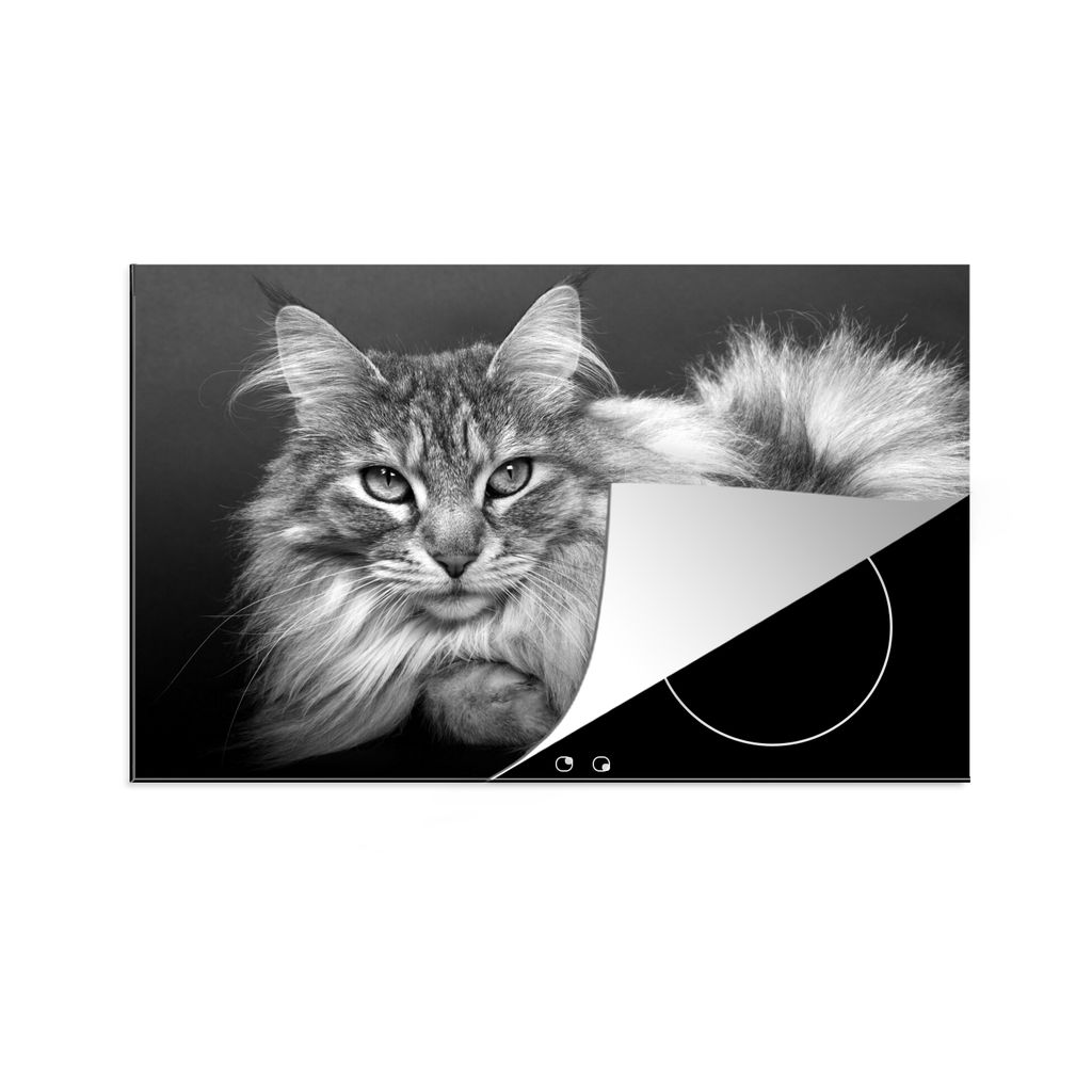 KitchenYeah Herdabdeckplatte Eine schöne liegende Maine Coon Katze - schwarz und weiß , 80x52cm, Küche Deko, Glaskeramikkochfeld Herdabdeckung...