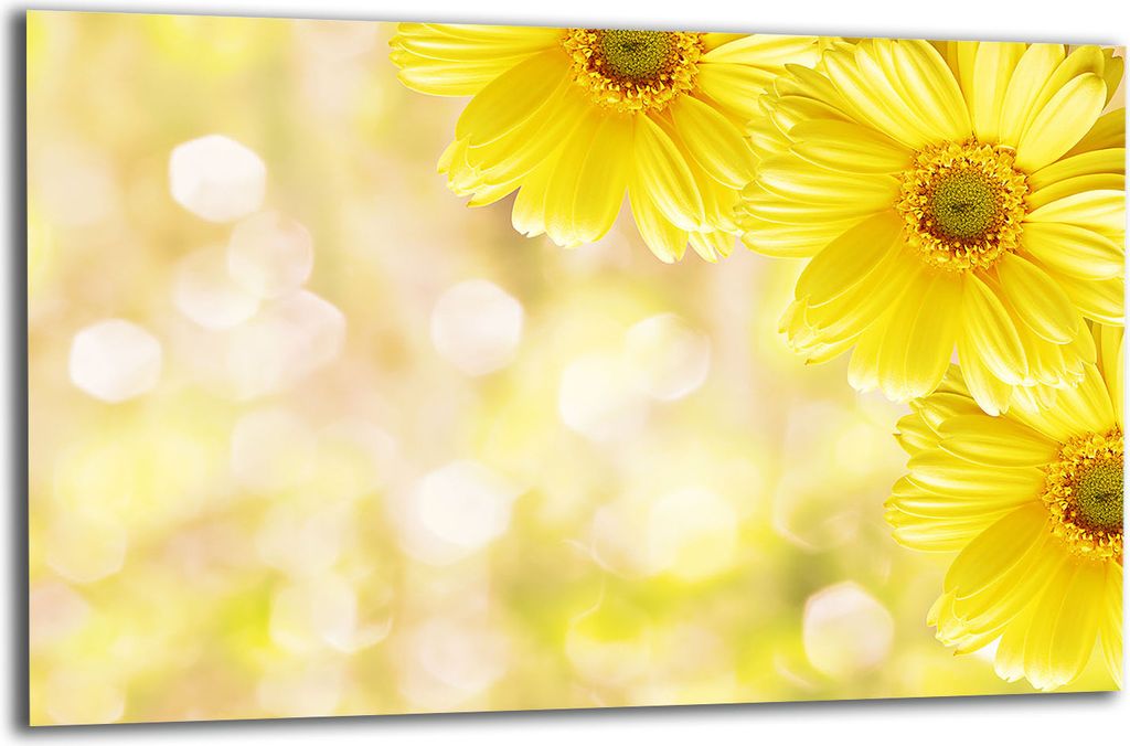 Herdabdeckplatte Glaskeramikkochfeld-Abdeckung Spritzschutz Glas 80x52 Blumen