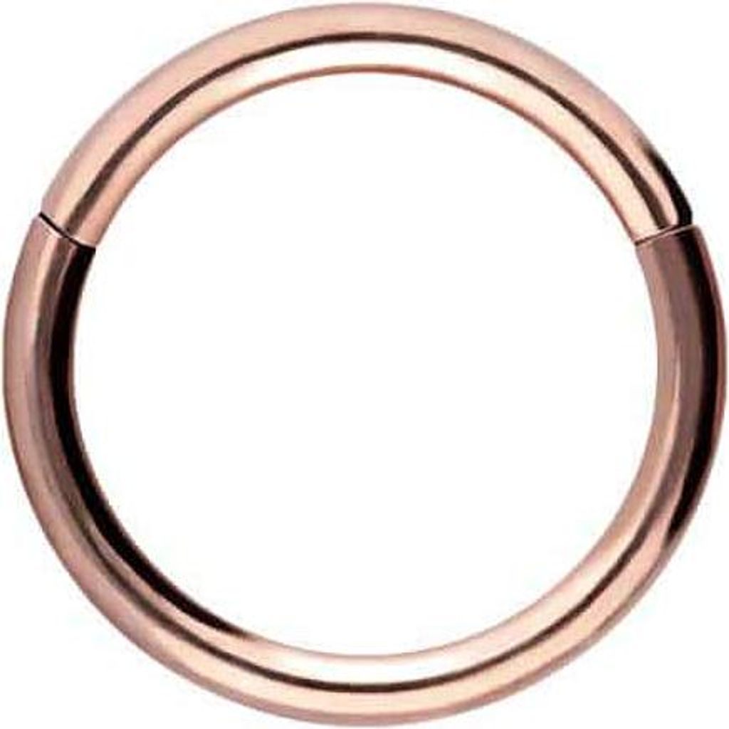 Ohrpiercing, Nasenpiercing, Septum Piercing Titan Segmentring Clicker RoséGold Innendurchmesser: 6mm + Stabstärke: 1mm