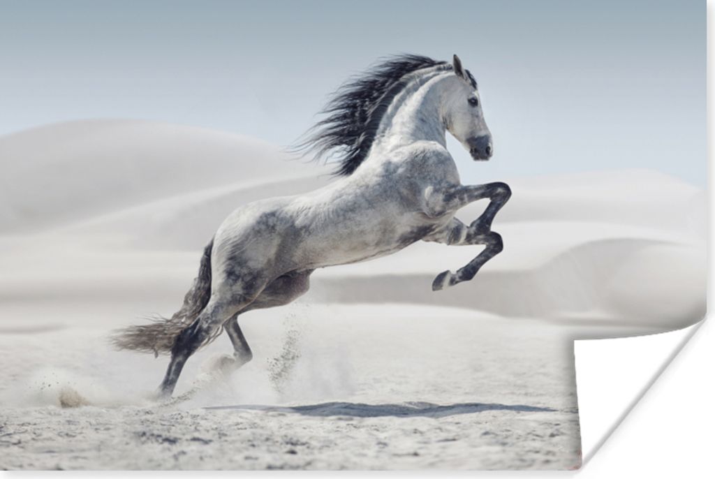 MuchoWow Poster Pferd - Tiere - Sand - Natur 90x60 cm - Schlafzimmer