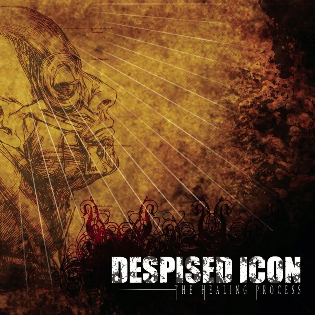 Vinyle Despised Icon The Healing Process : Qualité 180g Son Haute Fidélité