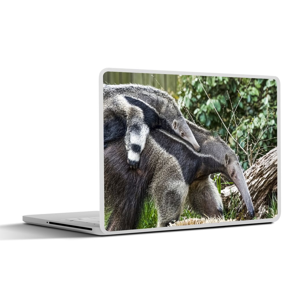 MuchoWow Laptop Aufkleber Sticker Cover Ameisenbär - Pflanze - Tier 36.5x27.5 cm - Laptop-Sticker