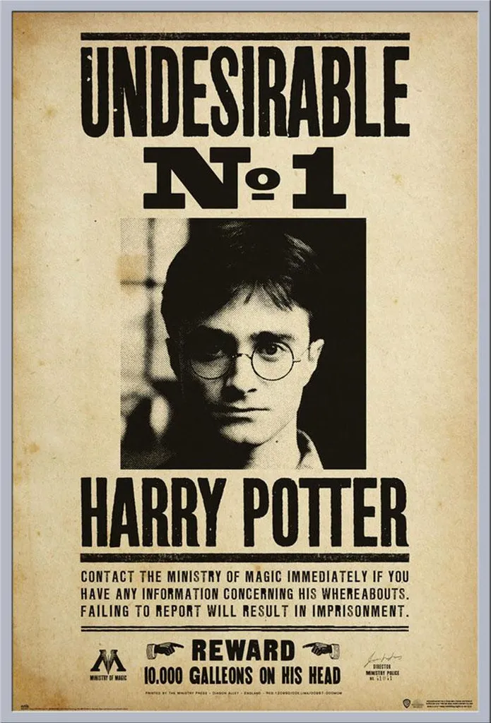 Poster Harry Potter avec Cadre Argent Anti-Casse, Vitre Acrylique Shinsuke