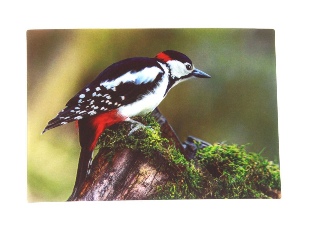 3 D Ansichtskarte Buntspecht, Vogel, Postkarte Wackelkarte Produktbild 