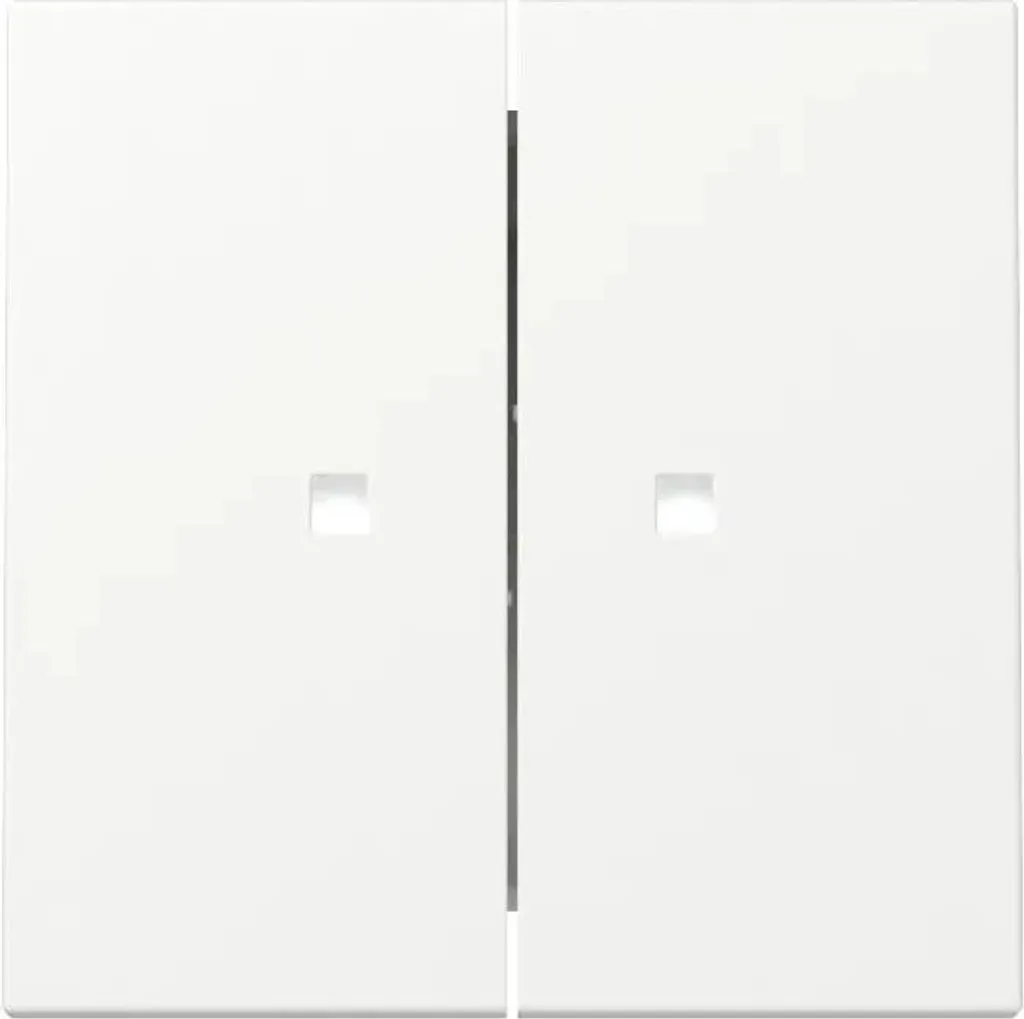 Gira 363127 Bascule Double System 55 Blanc Mat pour Interrupteur F.C.