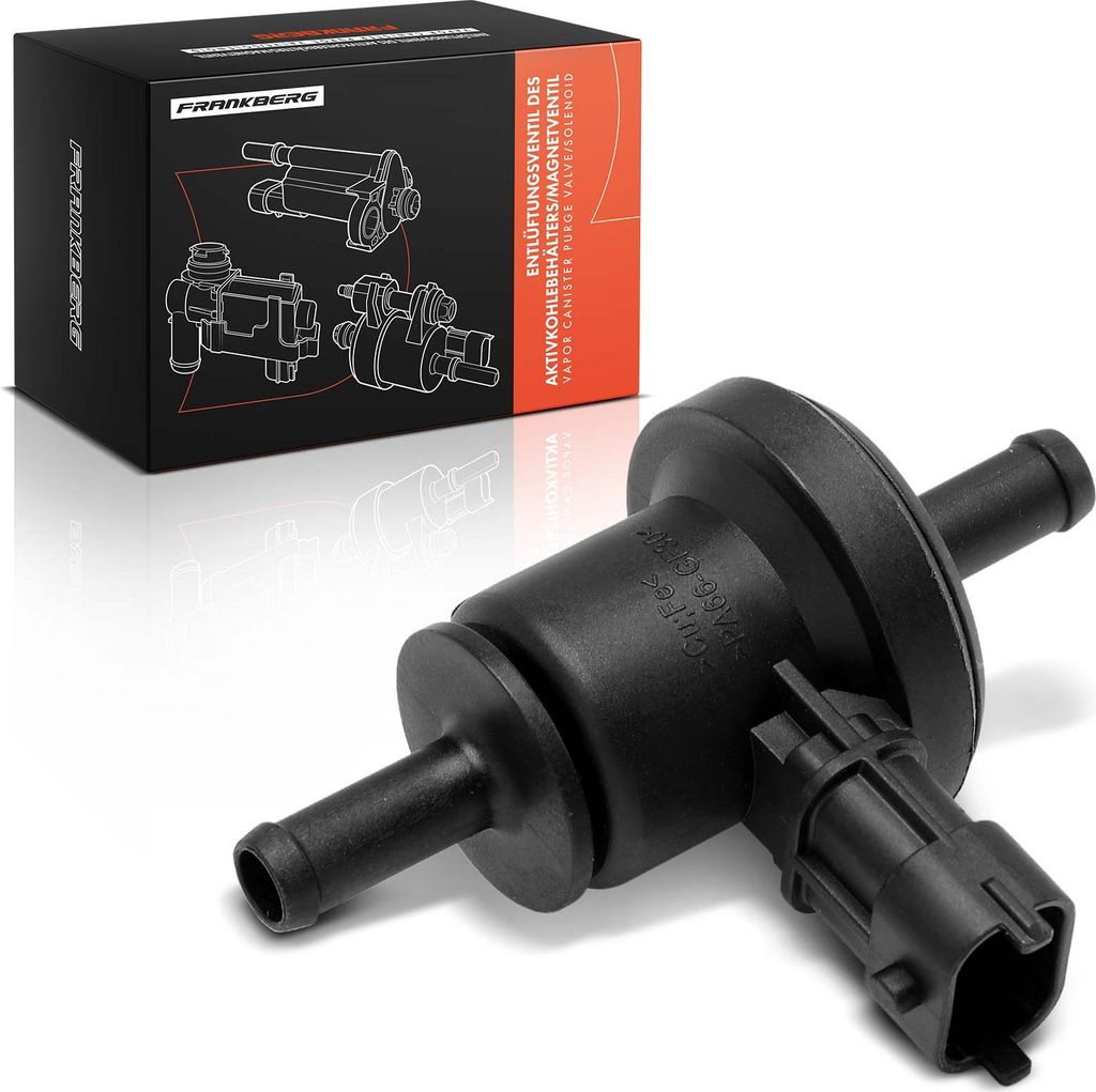 Frankberg 1x Entlüftungsventil für Hyundai Santa Fé II SM CM KIA Carnival II Magentis Optima