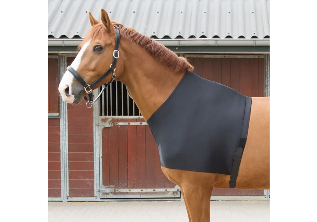 Protège-poitrine Anti-Irritation Noir XL Harrys Horse Fermeture Velcro