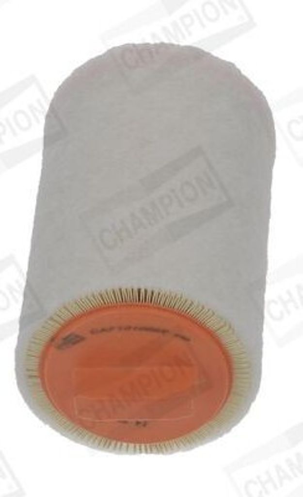 Luftfilter CHAMPION CAF101066R für MINI Schrägheck (R56) Produktbild 