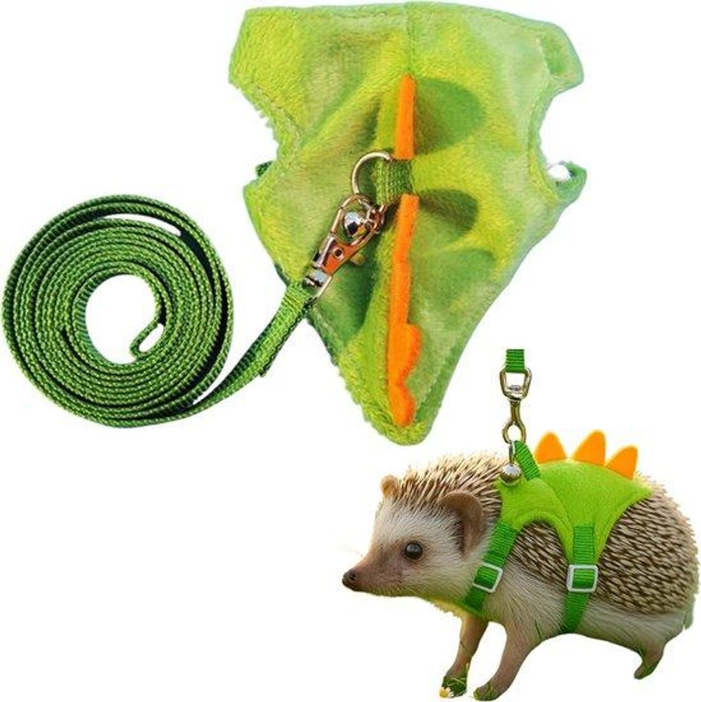 Kleidung für Ratten, Mäuse und Hamster, grünes Caviakostüm, dinosaurusförmiges Spielzeug.