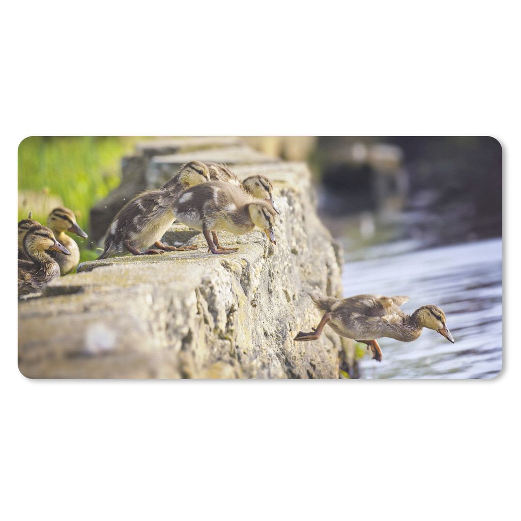MuchoWow Schreibtischunterlage Enten - Steine - Küken 80x40 cm - XXL Mauspad - Gaming Mauspad