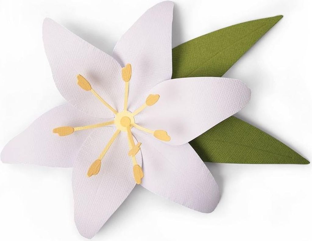 SIZZIX Bigz Stanzform Präge Stanzschablone Cutting Die, Lily 663698