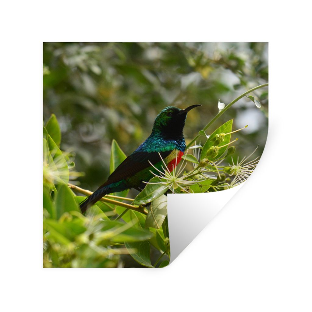 MuchoWow Wandtattoo Wandsticker Wandaufkleber Vogel zwischen den Blättern im Dschungel 100x100 cm Selbstklebend und Repositionierbar - Wierderve...