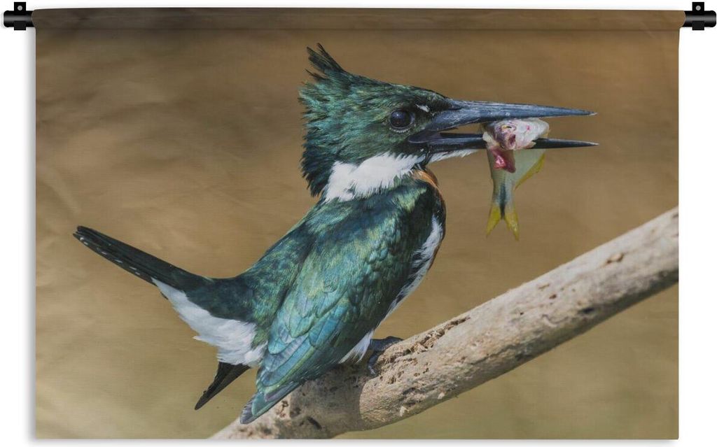MuchoWow Wandteppich Wandbehang Vogel - Fisch - Zweig 90x60 cm Tapisserie Dekoration Wandtuch - Wandskulpturen - Bildteppich