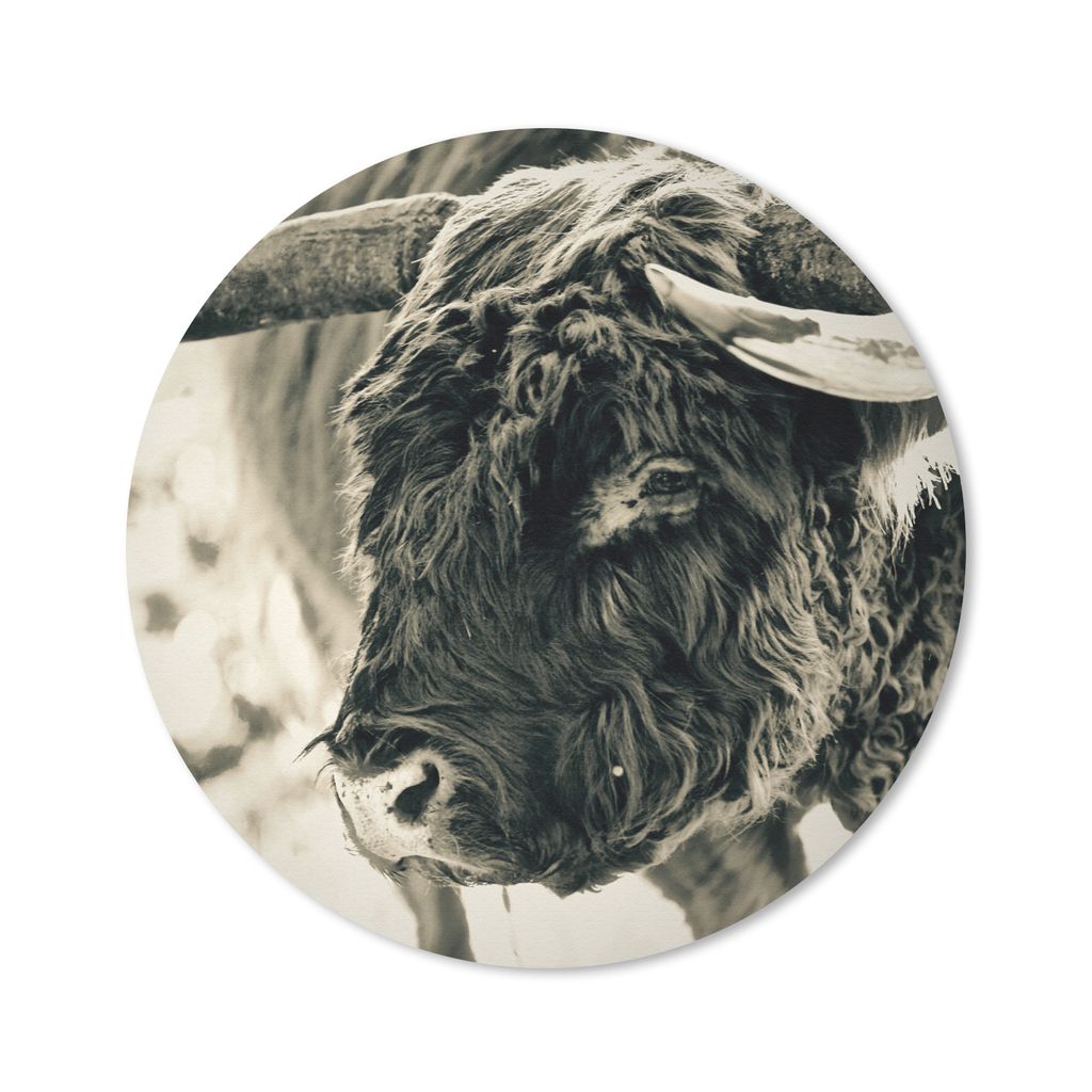 MuchoWow Mauspad Mousepad Schottischer Highlander - Schnee - Hörner 50x50 cm - Mousepads - Maus Mat - Pad - Mausunterlage - Vinyl