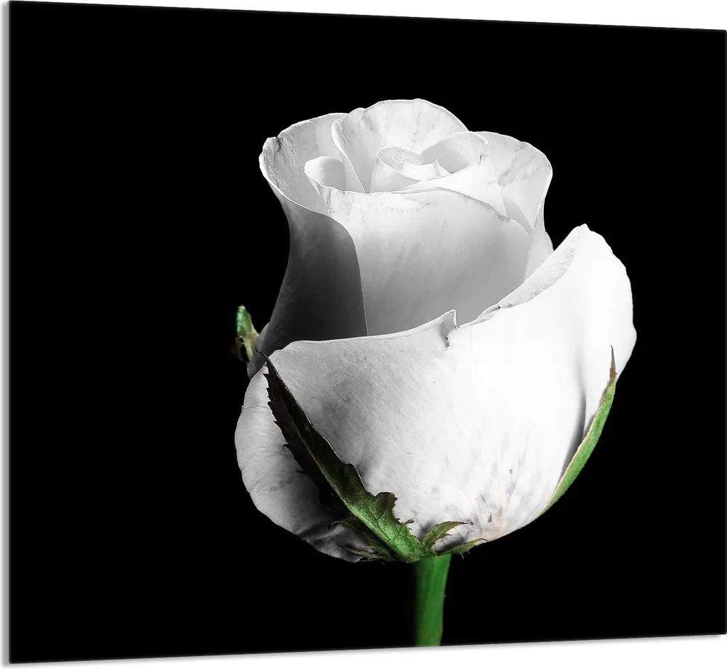 GLASPLATTE FÜR KÜCHE 65x60 Rose