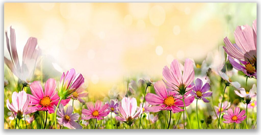 Acrylglasbilder 120x60 Wandbild Druck Blumen Natur