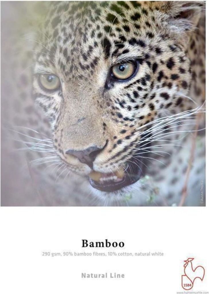 Hahnemühle Bamboo A 4 290 g, 25 Blatt, natural white