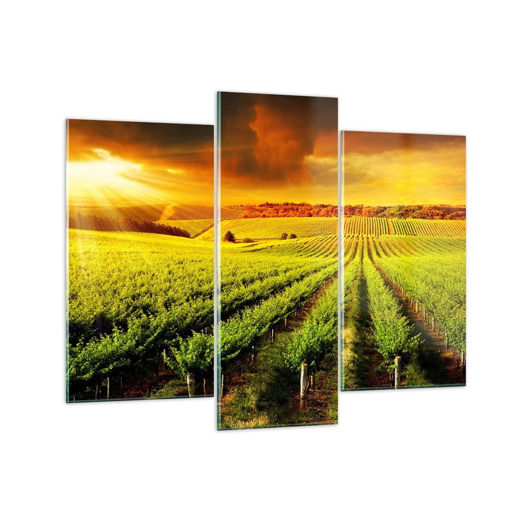 Bilder auf glas - Land Weingut Pflanzung - 130x100cm - Glasbilder - Wandbilder - Kunstdruck - zum Aufhängen bereit - Wanddekoration aus Glas - Gla...