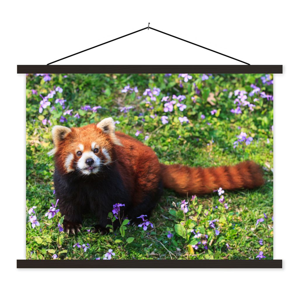 MuchoWow Textilposter Roter Panda - Blumen - Lila 40x30 cm mit schwarzem Rahmen - Dekorationen