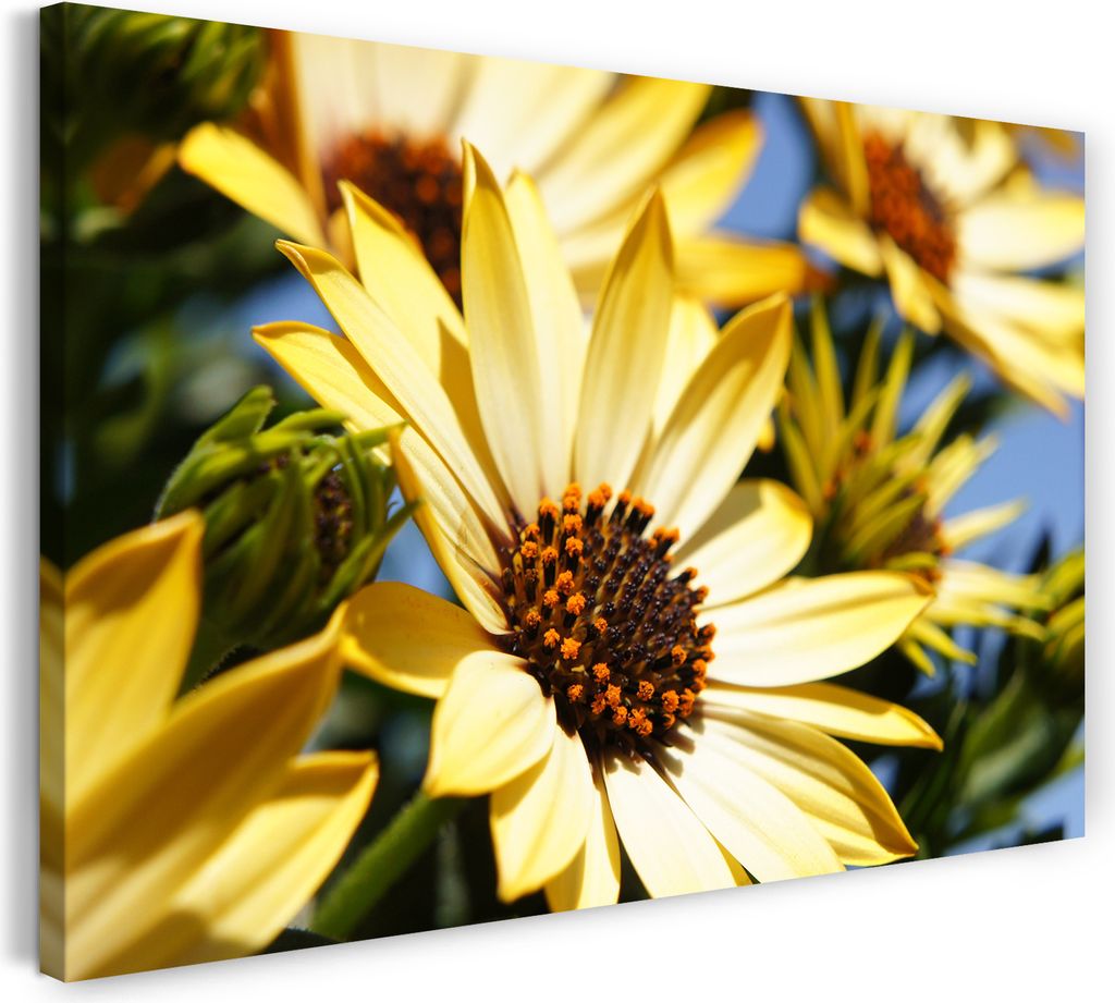 Leinwandbild (120x80cm): Blumen-Bilder Blumen mit gelben Blüten Rosen, echter Holz-Keilrahmen inkl. Aufhänger, handgefertigt in Deutschland