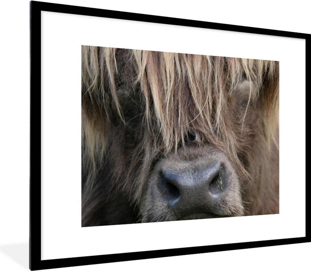 MuchoWow Gerahmtes Poster Schottischer Highlander - Braun - Nase 80x60 cm - Poster mit Schwarzem Bilderrahmen Wandposter Rahmen Foto Bilder - Sch...