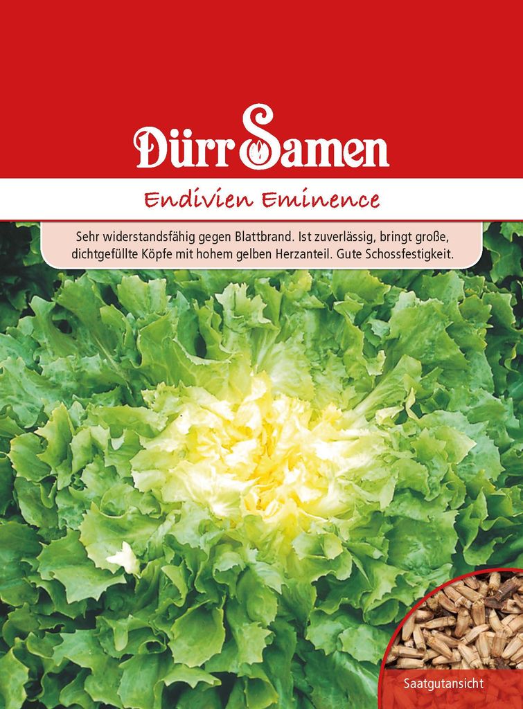 Dürr-Samen - Winter-Endivien Eminence - Saatgut - 1045 Produktbild 