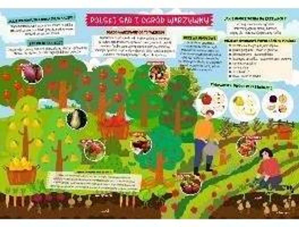 Doppelseitige Schreibtischunterlage „Obst- und Gemüsegarten“, 522 x 350 mm