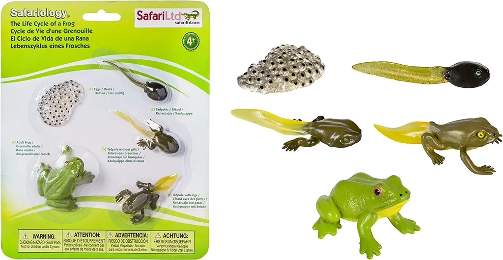 Kit métamorphose grenouille Safari - Figurines peintes à la main
