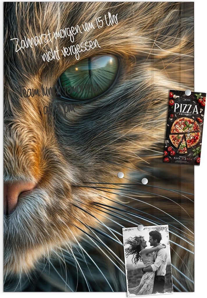 Magnettafel 40x60cm Pinnwand Whiteboard beschreibbar - Nahaufnahme Katze