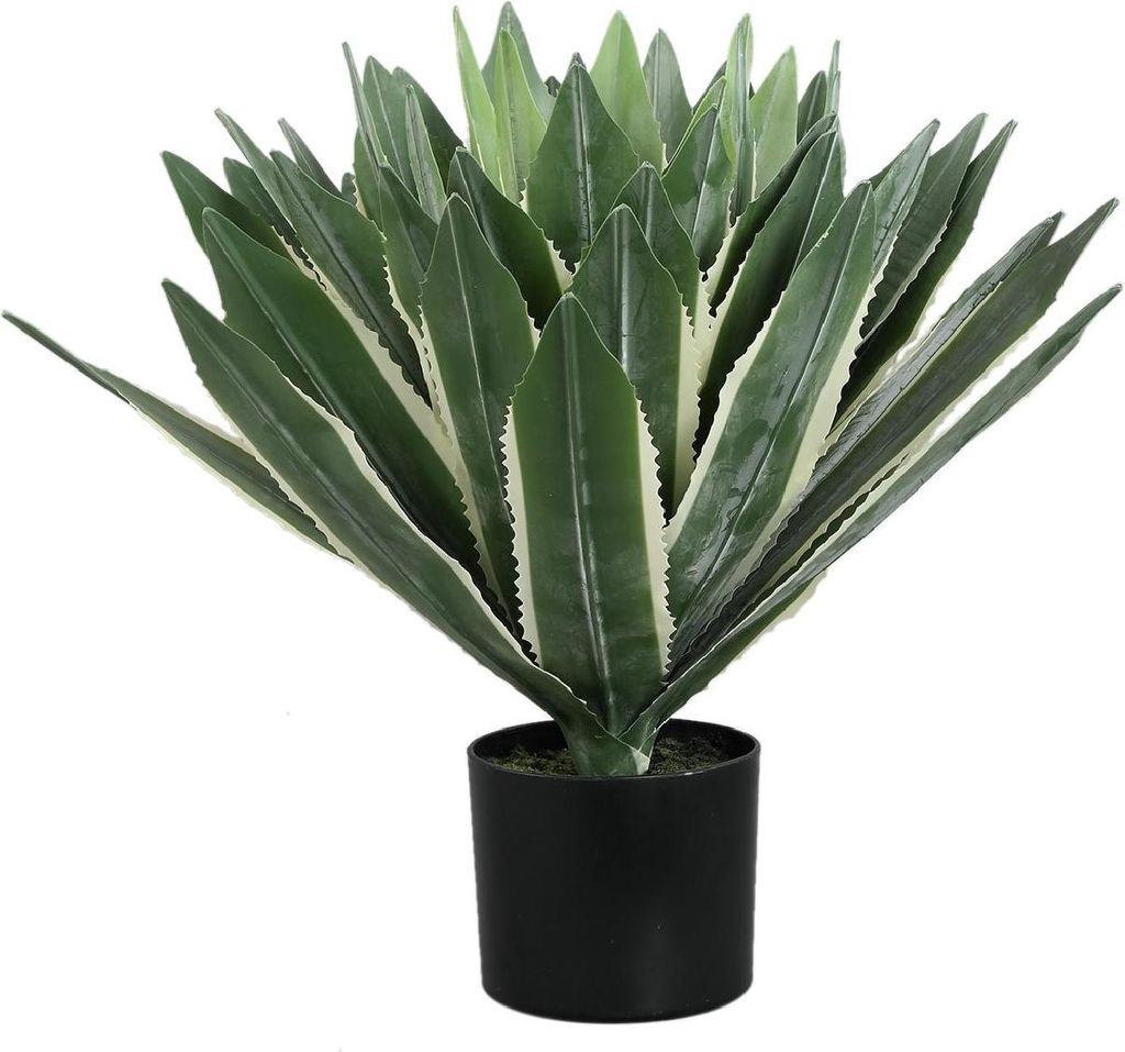 PTMD – Künstliche Sukkulente – Grün – 70 x 70 x 50 cm