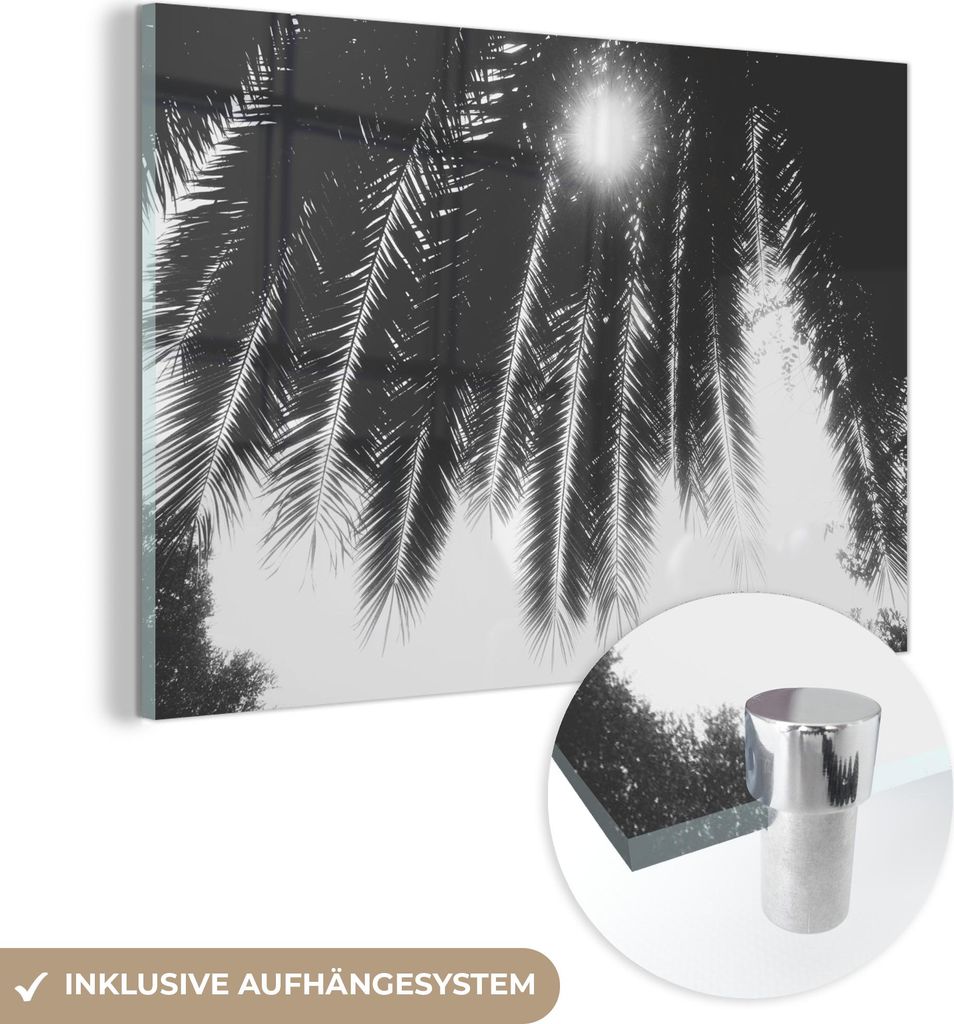 MuchoWow Glasbilder - Bilder auf Wandbild - Foto auf Glas Palmenblätter - Tropisch - Sonne - Palme 120x80 cm Wanddekoration aus Glas - Acrylglasbi...