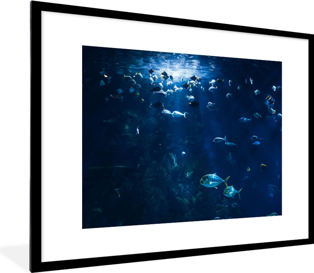 MuchoWow® Gerahmtes Poster Angeln in einem Aquarium in Produktbild 