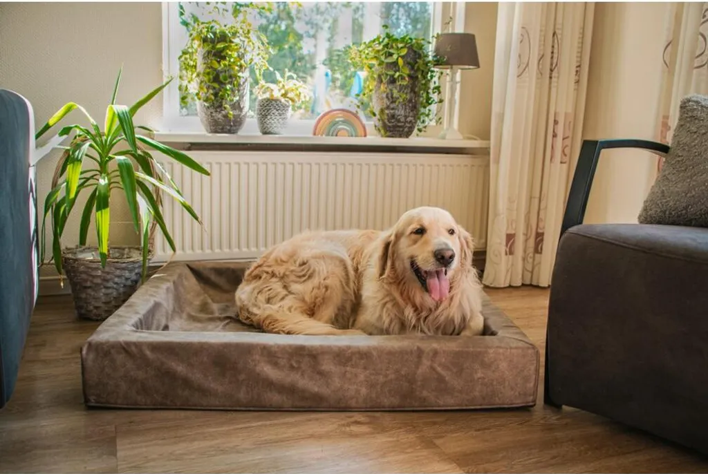 Comfy Cushion Panier Chien M Cognac : Confort Moelleux et Durable - 3