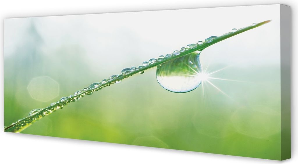 Leinwandbild 125x50 Wandkunst Tropfen Gras Makro