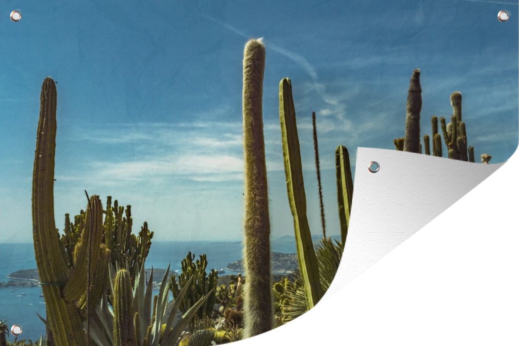 MuchoWow 120x80 cm Outdoor-Poster Gartendeko Sichtschutz Garten Poster für den Garten Kaktus - Meer - Himmel