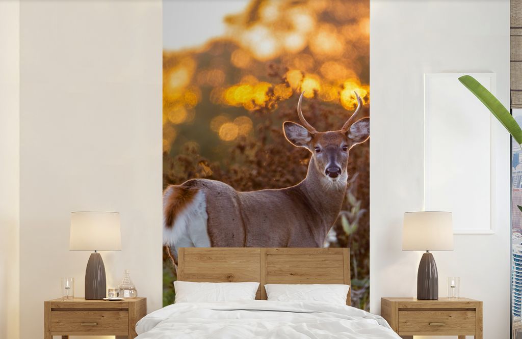 MuchoWow Fototapete für Wohnzimmer oder Schlafzimmer Wandtapete Vinyl Motivtapete Hirsche - Pflanzen - Sonnenuntergang - Wildtiere - Natur - 120...