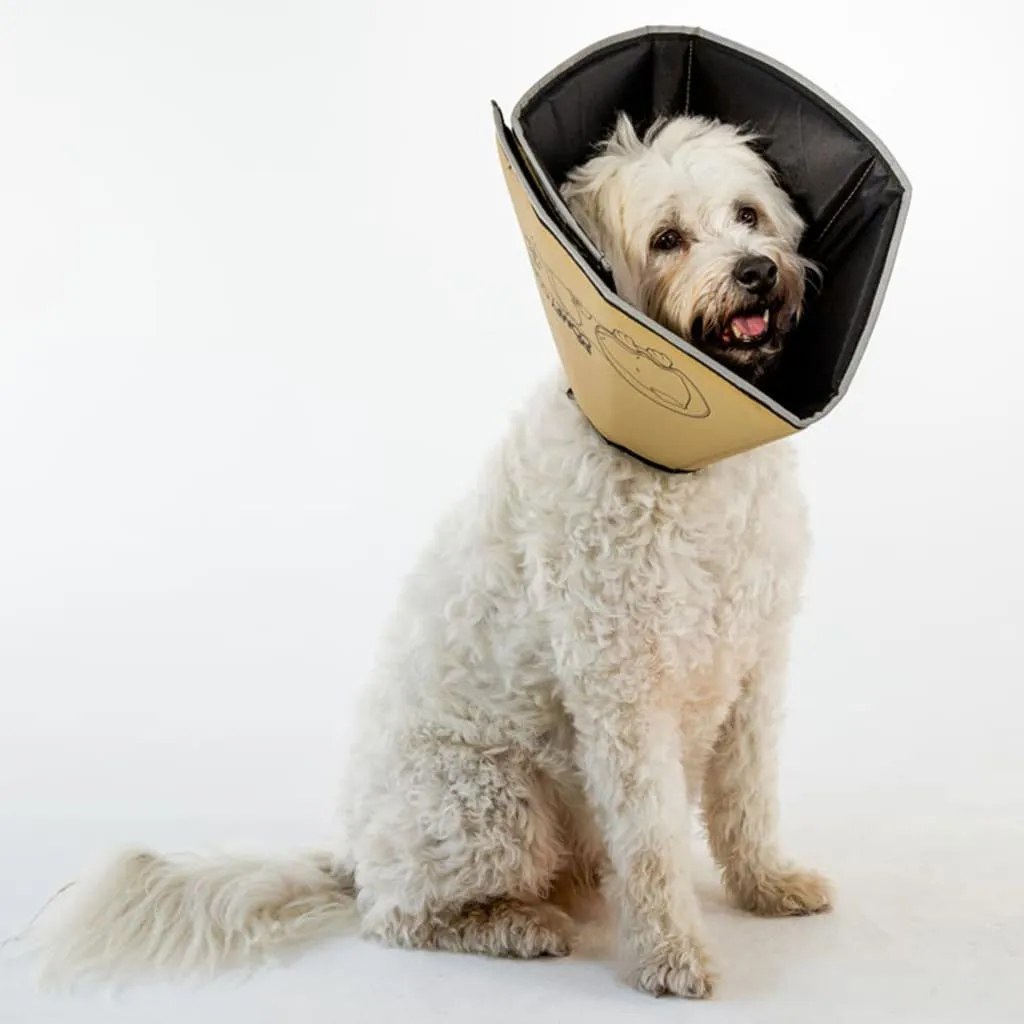 All Four Paws Comfy Cone M Long 30cm Marrone - Eleganza e Comfort - 2
