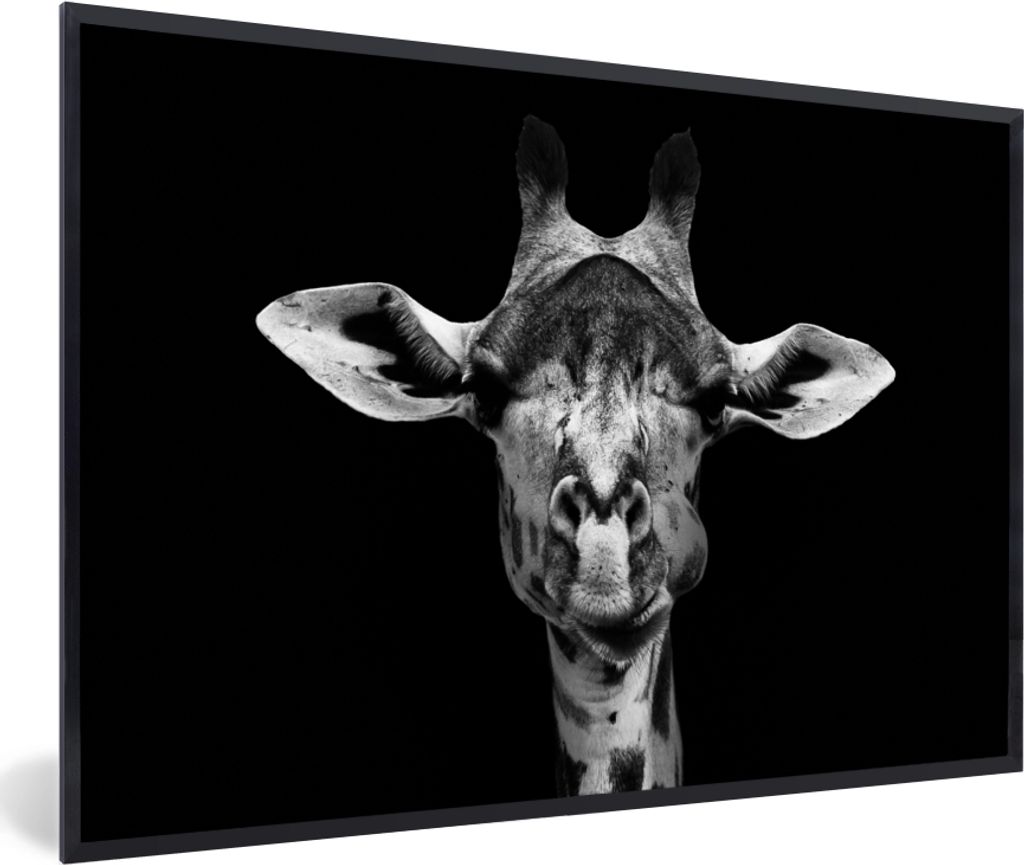 MuchoWow Gerahmtes Poster Giraffe - Tiere - Porträt - Schwarz 60x40 cm - Poster mit Schwarzem Bilderrahmen Wandposter Rahmen Foto Bilder - Print...