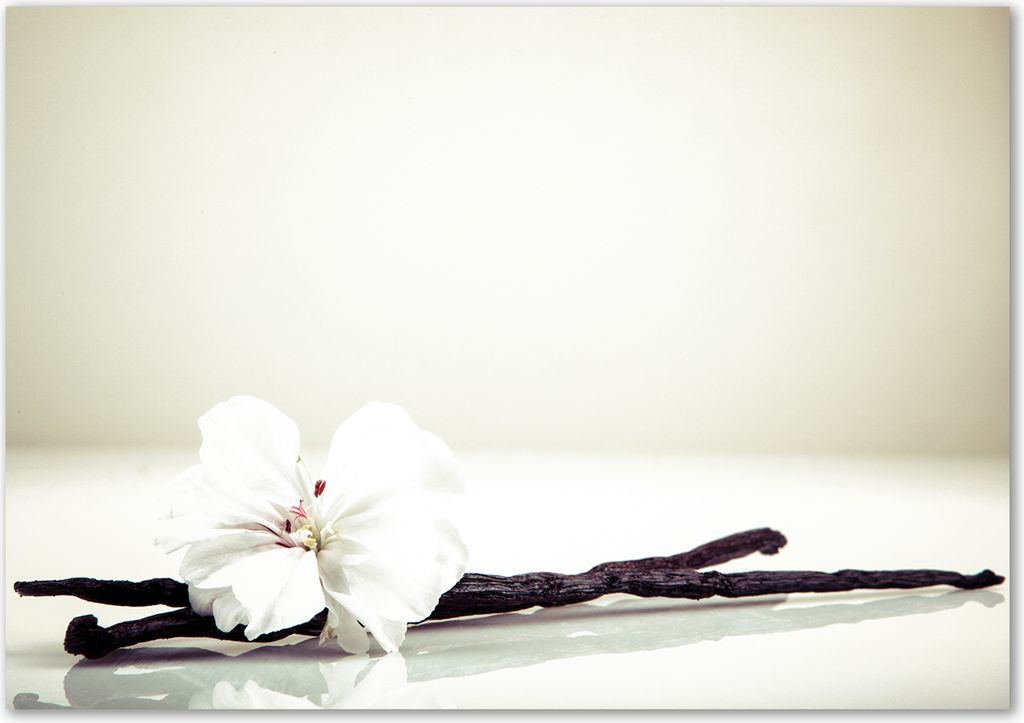 Tulup Glas-Bild - 100 x 70 - Wandbild aus Glas - Wandkunst - Wandbild hinter gehärtetem Sicherheitsglas - Blumen & Pflanzen - Vanillestange - Weiß